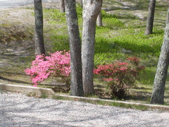 Image file: photo01.jpg