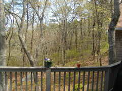 Image file: photo03.jpg