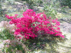 Image file: photo06.jpg