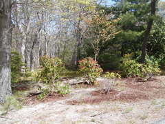 Image file: photo08.jpg