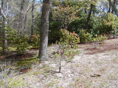 Image file: photo09.jpg