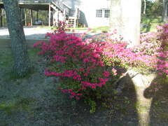 Image file: photo03.jpg