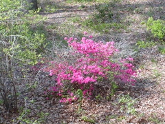 Image file: photo01.jpg