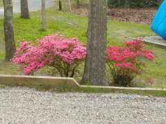 Image file: photo02.jpg