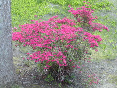 Image file: photo04.jpg