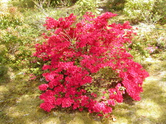 Image file: photo01.jpg