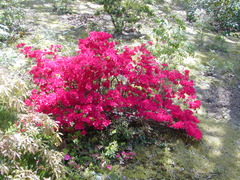 Image file: photo02.jpg