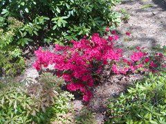 Image file: photo03.jpg