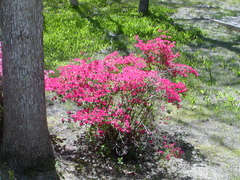 Image file: photo05.jpg