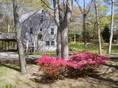 Image file: photo06.jpg