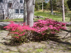 Image file: photo07.jpg