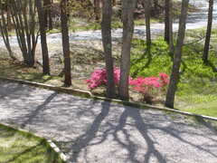 Image file: photo08.jpg