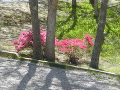 Image file: photo09.jpg