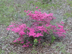 Image file: photo02.jpg