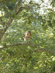 Image file: photo01.jpg