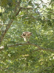 Image file: photo05.jpg