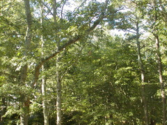 Image file: photo12.jpg