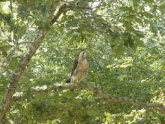 Image file: photo14.jpg