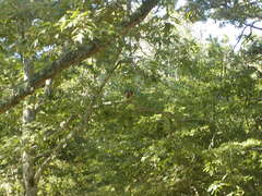 Image file: photo15.jpg