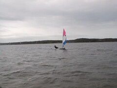 Image file: photo51.jpg