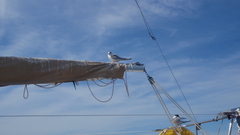 Image file: photo02.jpg