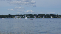 Image file: photo29.jpg