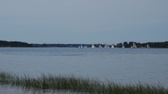 Image file: photo37.jpg