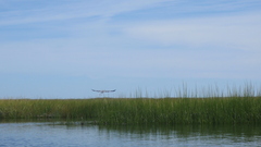 Image file: photo44.jpg