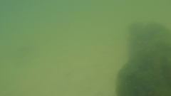 Image file: photo47.jpg