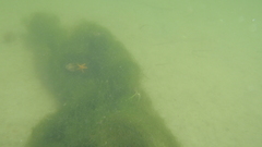 Image file: photo48.jpg