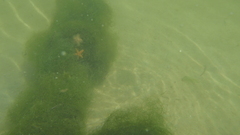 Image file: photo49.jpg