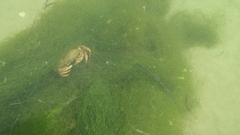 Image file: photo50.jpg