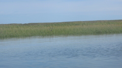 Image file: photo51.jpg