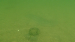 Image file: photo52.jpg