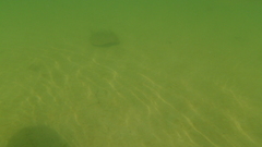 Image file: photo54.jpg