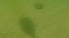 Image file: photo55.jpg