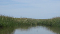 Image file: photo58.jpg