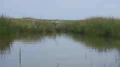 Image file: photo60.jpg