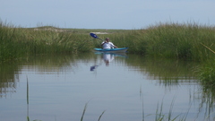 Image file: photo61.jpg