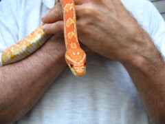 Image file: photo01.jpg