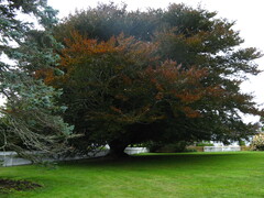 Image file: photo03.jpg