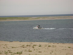 Image file: photo08.jpg