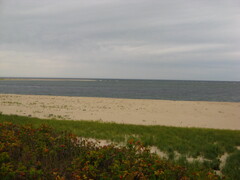 Image file: photo09.jpg