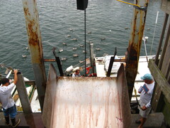 Image file: photo15.jpg