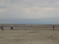 Image file: photo33.jpg