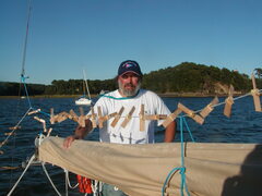 Image file: photo06.jpg