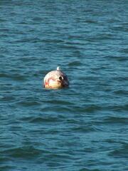 Image file: photo08.jpg