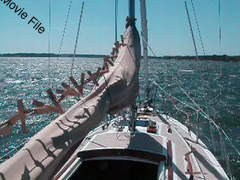 Image file: movie02.mov