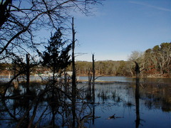 Image file: photo02.jpg