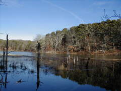 Image file: photo03.jpg